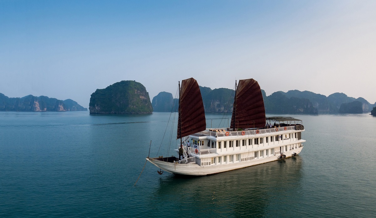 lĩnh vực hoạt động